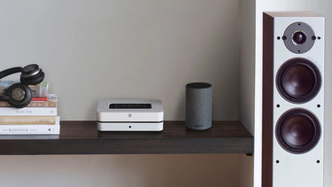 Bluesound Powernode Blanc (2021) - EasyLounge - 15