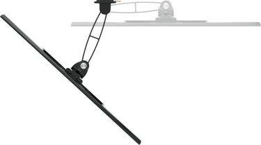 Vogel