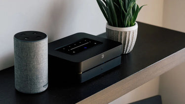 Bluesound Powernode Noir (2021) - EasyLounge - 12
