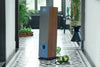 Focal Chora 826 Bois foncé - EasyLounge - 10