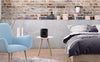 JBL Tuner XL - EasyLounge - 8