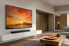 Samsung TQ100QN80H - EasyLounge - 13