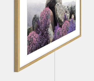 Samsung The Frame QE55LS03A 2021 - EasyLounge - 18