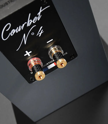 Davis Acoustics Courbet N°4 Gris Satiné - EasyLounge - 4