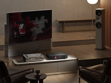 Rose RS451 Noir - EasyLounge - 10