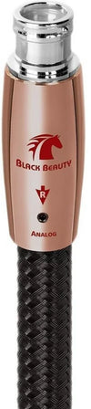 Audioquest Black Beauty XLR (2 m) - EasyLounge - 3