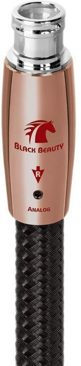 Audioquest Black Beauty XLR (2 m) - EasyLounge - 3