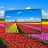Panasonic TX-65FX740 - EasyLounge - 17