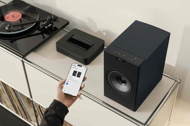 KEF Coda W Bleu - EasyLounge - 6
