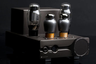 Feliks Audio Euforia Evo - EasyLounge - 6