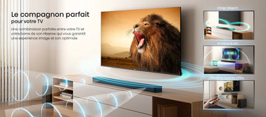 Hisense HS2100 - EasyLounge - 20