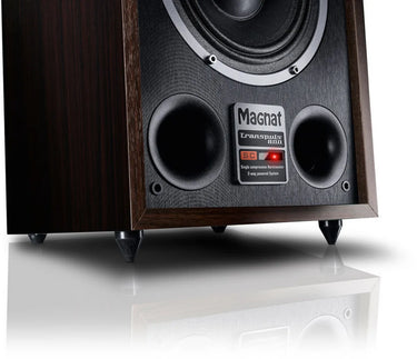 Magnat Transpuls 800A - EasyLounge - 5