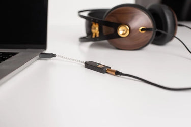 ifi Audio Go Link - EasyLounge - 9