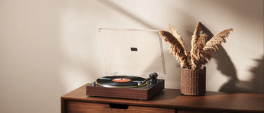 FiiO TT11 - EasyLounge - 11