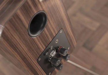 Q Acoustics Concept 300 Noir et Noyer - EasyLounge - 12