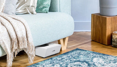 Bluesound Pulse Sub + Blanc - EasyLounge - 3