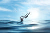 Shokz OpenSwim Pro Rouge - EasyLounge - 32