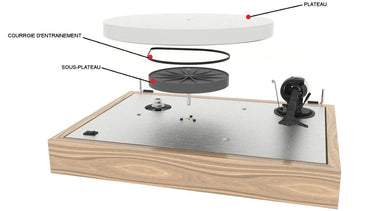Pro-ject The Classic Noyer - EasyLounge - 8