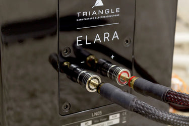 Triangle Elara LN05 Noir laqué - EasyLounge - 5
