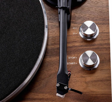 Argon Audio TT Noyer - EasyLounge - 6