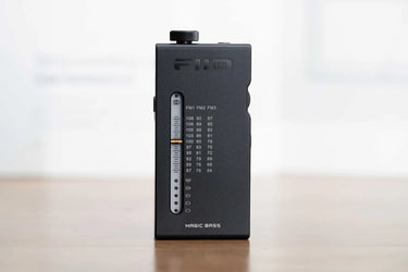 FiiO RR11 Noir - EasyLounge - 2