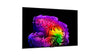 LG Electronics OLED55G6 - EasyLounge - 14