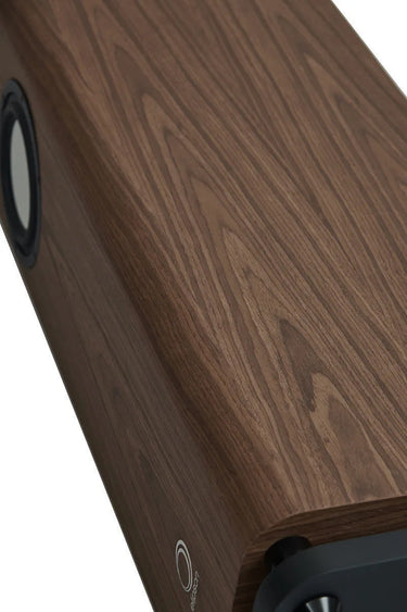 Elipson Legacy 3220 Noyer - EasyLounge - 17