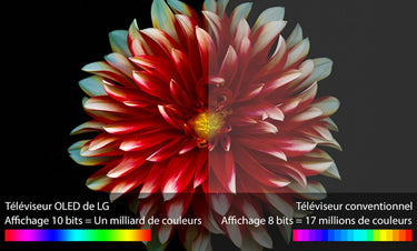 Easylounge OLED65W7V - EasyLounge - 15
