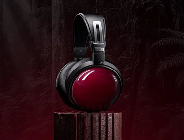 FiiO FT13 Bois de rose - EasyLounge - 9