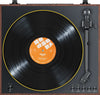 FiiO TT11 - EasyLounge - 12