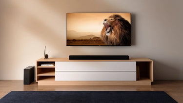 Hisense HS2100 - EasyLounge - 2