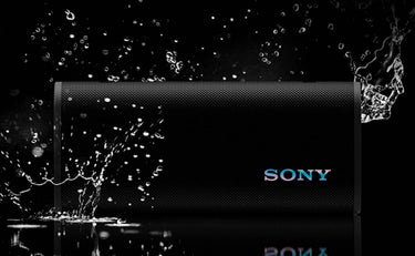 Sony ULT Field 3 Noir - EasyLounge - 9