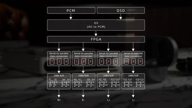 FiiO DM15 R2R Noir - EasyLounge - 5