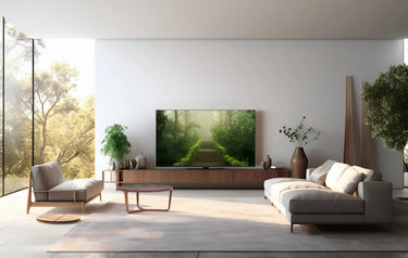 Panasonic TB-65W60AEZ - EasyLounge - 12