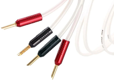 Atlas Element Achromatic 2-4 Z Bi-Wire Banane (2 x 2 m) - EasyLounge - 2