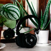 Grado GW100 - EasyLounge - 7
