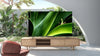 TCL 85P731 - EasyLounge - 5