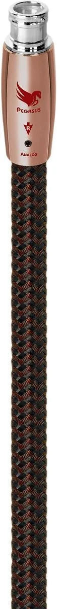 Audioquest Pegasus XLR (1 m) - EasyLounge - 2