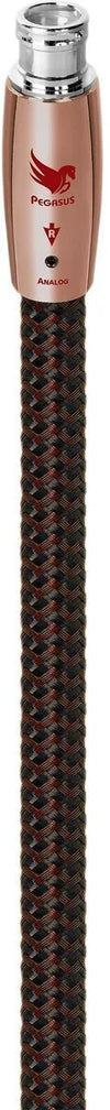 Audioquest Pegasus XLR (5 m) - EasyLounge - 2