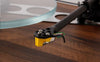 Rega Planar 3 50e Anniversaire - EasyLounge - 5