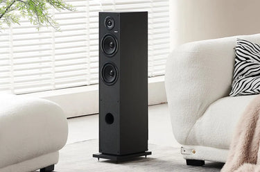 Elipson Horus 11F Noir Carbone - EasyLounge - 10