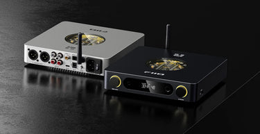 FiiO K13 R2R Noir - EasyLounge - 10