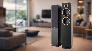Argon Audio Fenris Active A55 Noir - EasyLounge - 7