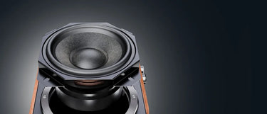 FiiO SA1 Noir - EasyLounge - 7