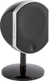 Focal Bird Noir - EasyLounge - 3