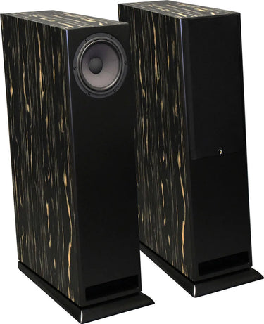 Davis Acoustics MV One Master Ébène laqué