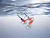 Shokz OpenSwim Pro Gris - EasyLounge - 20