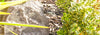 Sonance RK63 Gris (la paire) - EasyLounge - 3