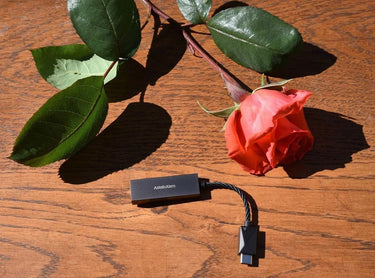 Astell Kern PEE51 - EasyLounge - 12