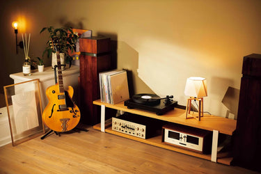 Audio-Technica AT-LP8X - EasyLounge - 18